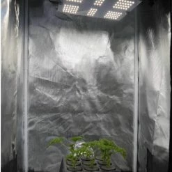 Best reviews of 💯 Happy Hydro Vegetation Stage Kits Beginner Complete Veg Grow Tent Kit | HLG 65 LED | 2’ X 2’ 🎉 16 Happy Hydro Vegetation Stage Kits Beginner Complete Veg Grow Tent Kit | HLG 65 LED | 2’ X 2’