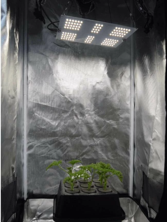 Top 10 ✔️ Happy Hydro Vegetation Stage Kits Beginner Complete Veg Grow Tent Kit | 2x HLG 65 LED | 2’ X 3’ 💯 3 Happy Hydro Vegetation Stage Kits Beginner Complete Veg Grow Tent Kit | 2x HLG 65 LED | 2’ X 3’