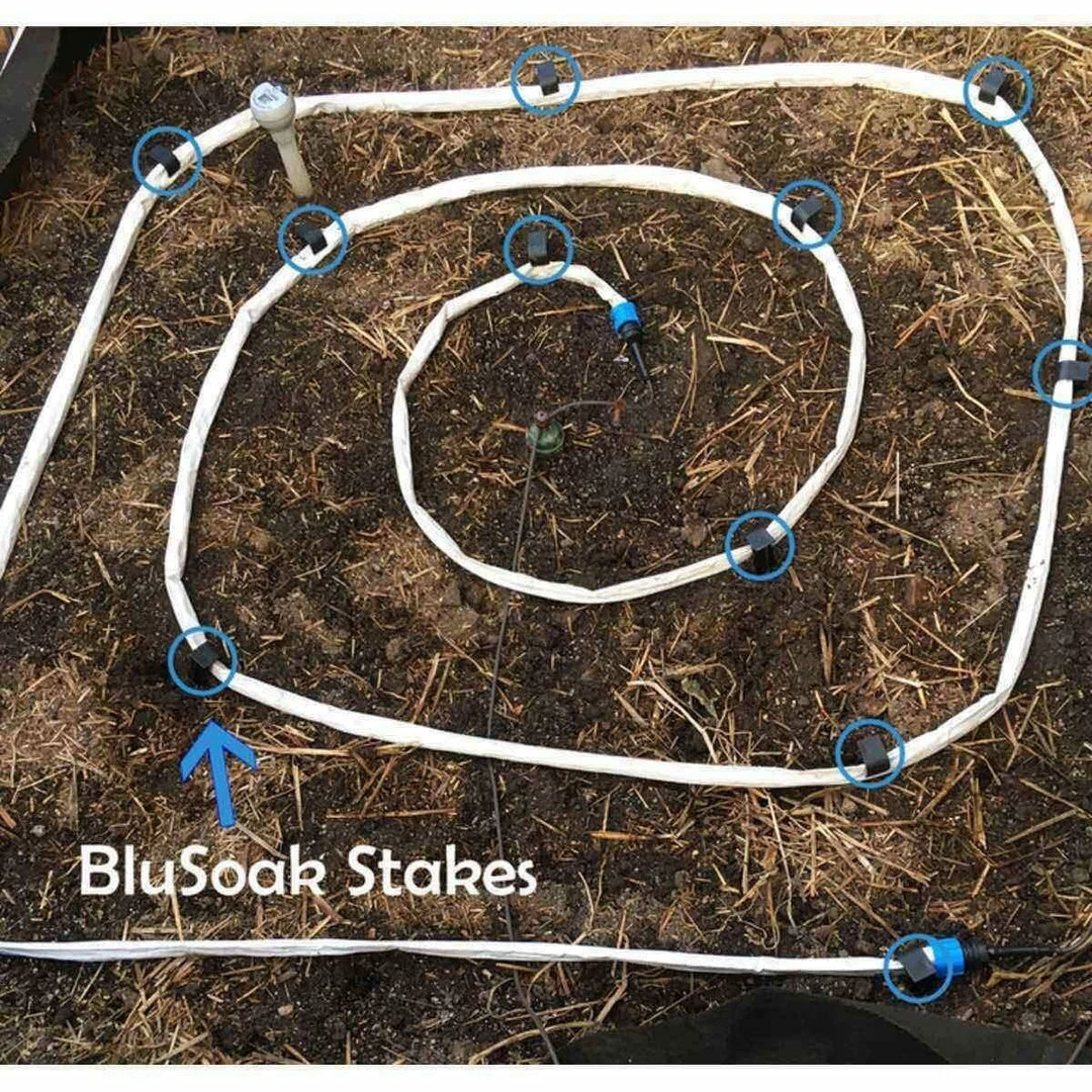 Best Pirce ๐งจ Blumat BluSoak Stakes - Mega - (Bulk) Single Hold-Down Clamp Planting & Watering ๐ฏ 3 Blumat BluSoak Stakes - Mega - (Bulk) Single Hold-Down Clamp Planting & Watering