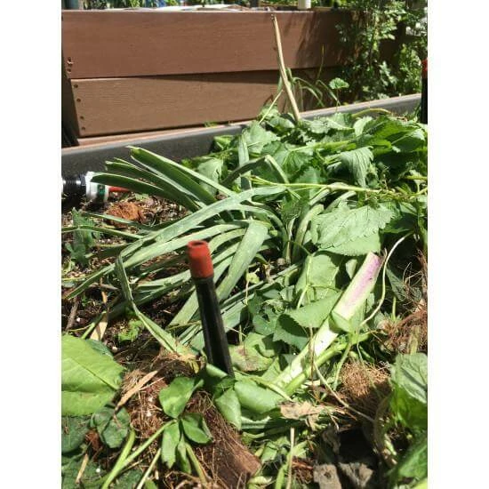 Top 10 ⌛ Blumat Locator Stakes (Pack Of 25) Planting & Watering ❤️ 2 Blumat Locator Stakes (Pack Of 25) Planting & Watering