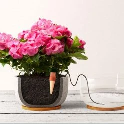 Blumat Watering Systems Blumat Classics XL (Junior) Automatic Watering Stakes (6-Pack, XL)