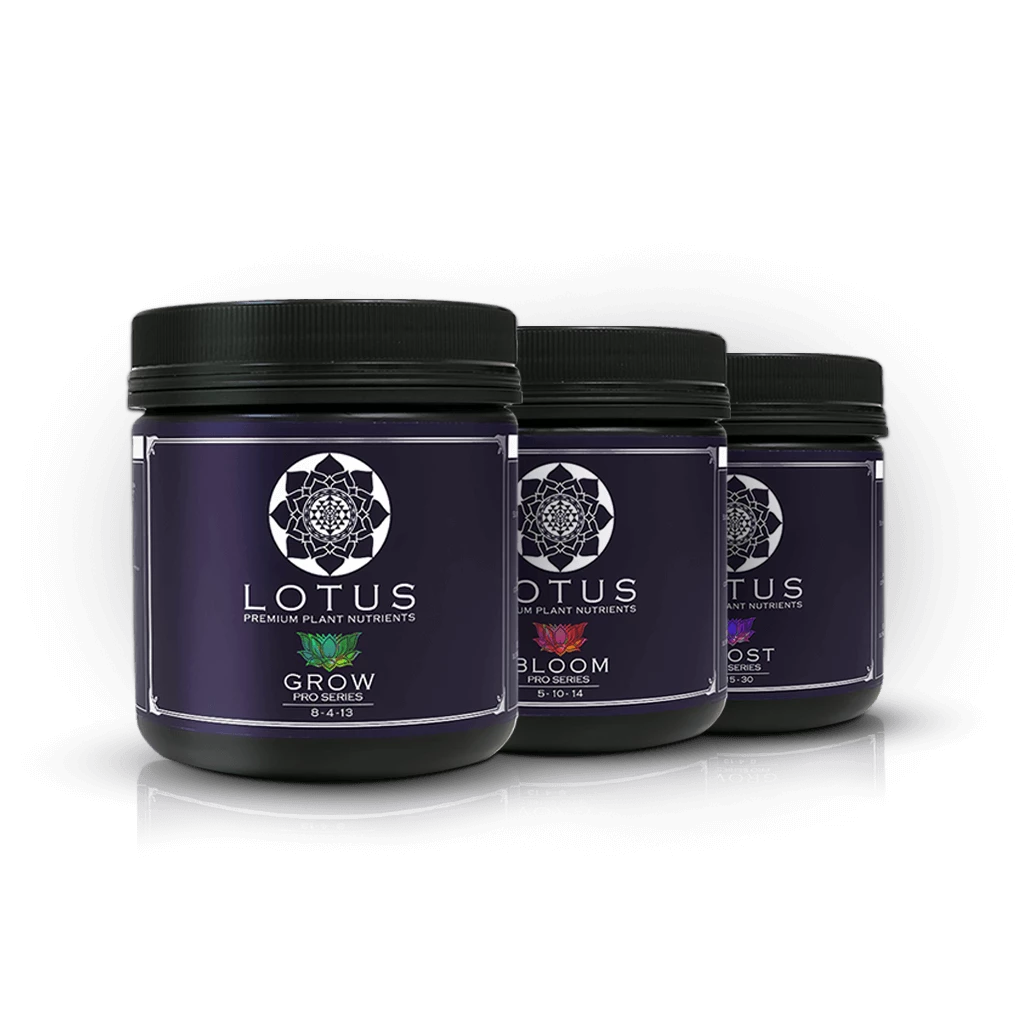 Top 10 ๐ Lotus Starter Pack (Grow, Bloom, Boost) โญ 1 Lotus Starter Pack (Grow, Bloom, Boost)