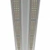 Growers Choice Grower's Choice PFS LED Grow Lights | 4ft Long | 4-Pack