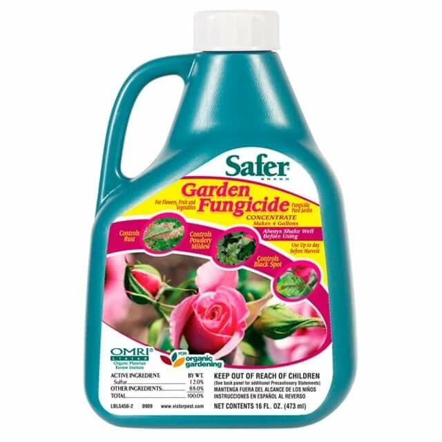 Cheapest โญ Planting & Watering Safer | Garden Fungicide Concentrate | 16 Oz ๐ 1 Planting & Watering Safer | Garden Fungicide Concentrate | 16 Oz
