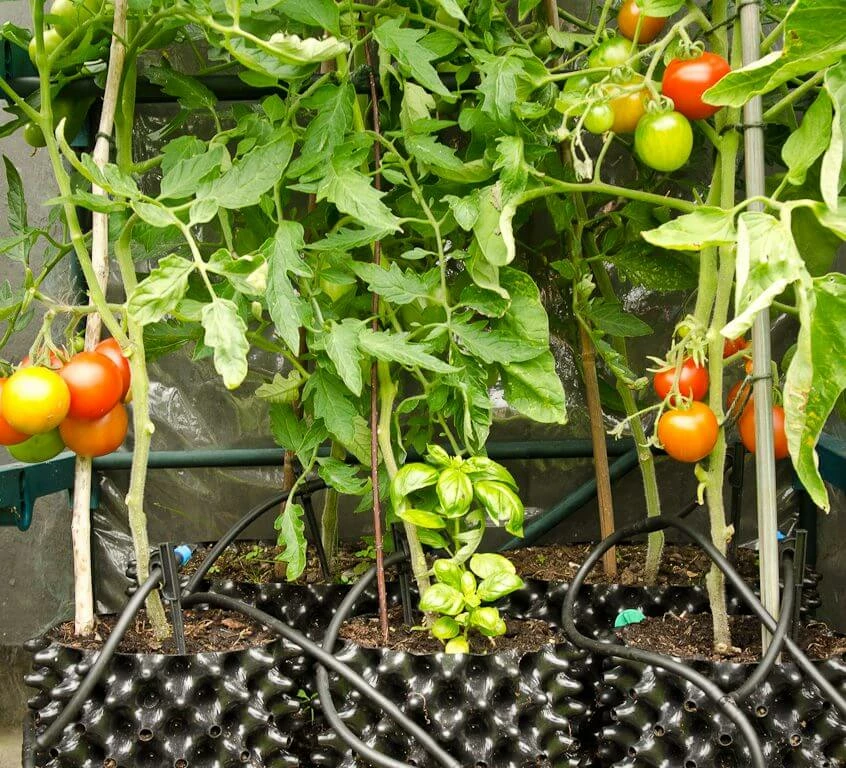 Cheap 😉 Air-Pot | Container #7 | 5.4 Gal/20.4L | Blue Base Planting & Watering ❤️ 3 Air-Pot | Container #7 | 5.4 Gal/20.4L | Blue Base Planting & Watering