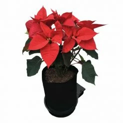 Best Sale ๐งจ AutoPot Planting & Watering SpringPot 1 System ๐ 5 AutoPot Planting & Watering SpringPot 1 System