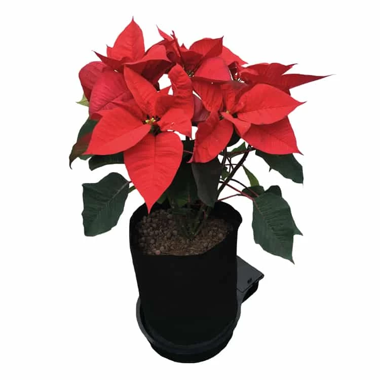 Best Sale ๐งจ AutoPot Planting & Watering SpringPot 1 System ๐ 3 AutoPot Planting & Watering SpringPot 1 System