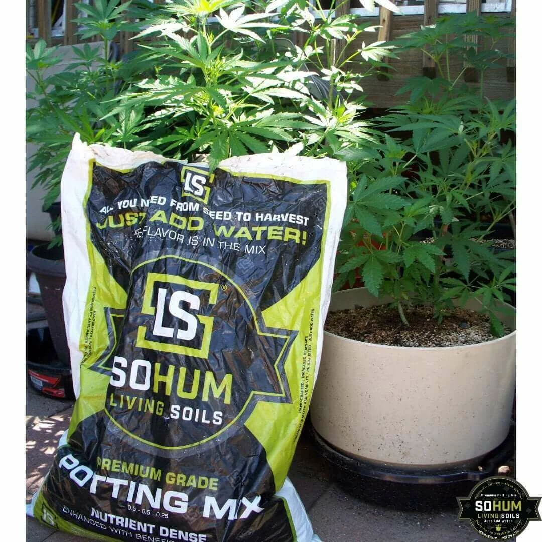 Buy 👏 Happy Hydro Grow Tent Kits Beginner Grow Tent Kit | Without The Light | 2’ X 3’ ⌛ 3 Happy Hydro Grow Tent Kits Beginner Grow Tent Kit | Without The Light | 2’ X 3’