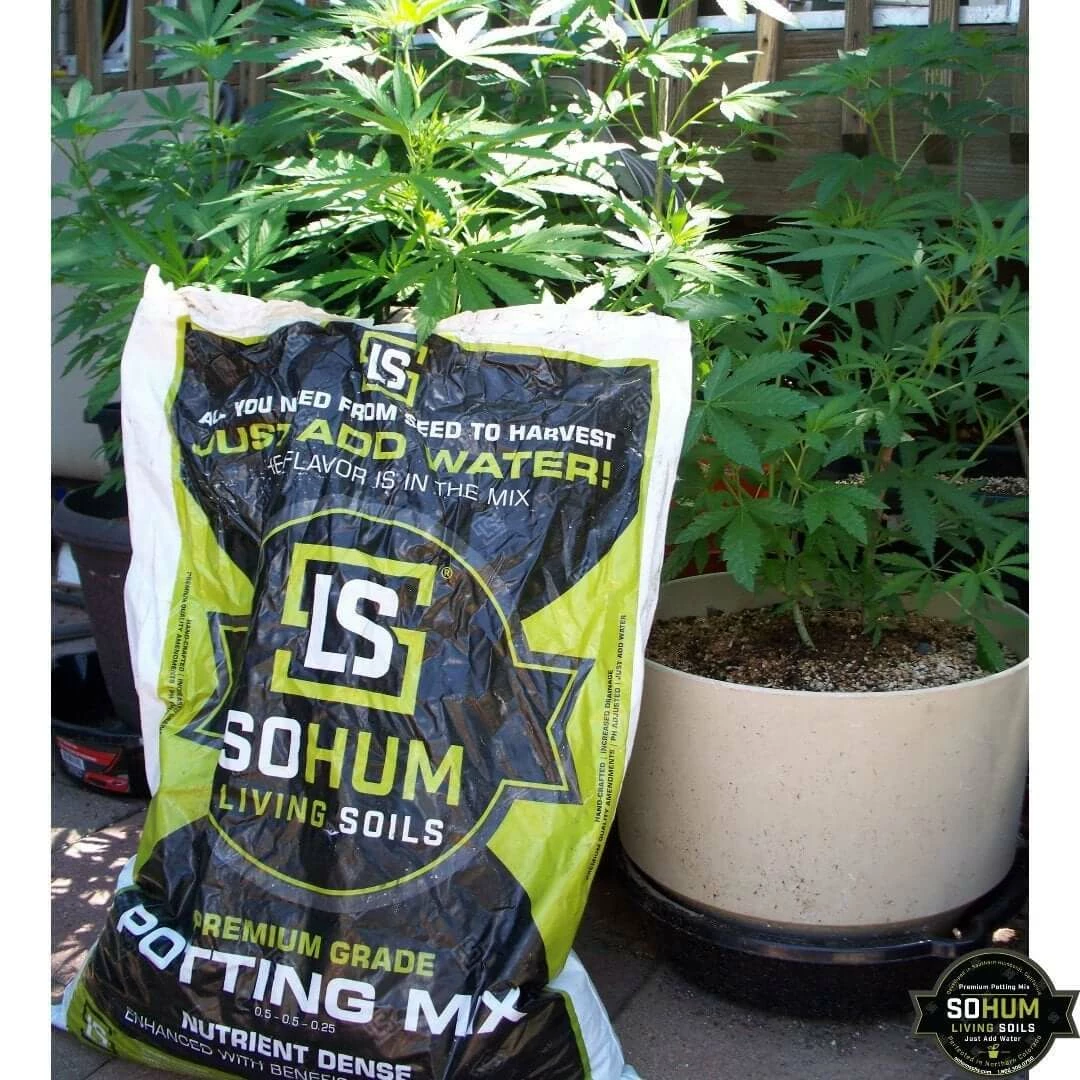 Brand new 🥰 Happy Hydro Beginner Complete Coco Grow Tent Kit | Spider Farmer LED | 2’ X 3’ 🔥 8 Happy Hydro Beginner Complete Coco Grow Tent Kit | Spider Farmer LED | 2’ X 3’