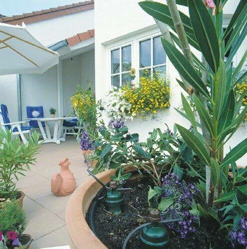 Cheap 👏 5" Tropf Blumat Watering Carrot Planting & Watering 🛒 5 5" Tropf Blumat Watering Carrot Planting & Watering