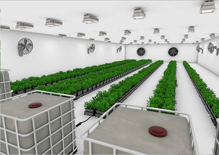 Cheapest ๐งจ AutoPot Planting & Watering Easy2grow 24 โ 2 AutoPot Planting & Watering Easy2grow 24