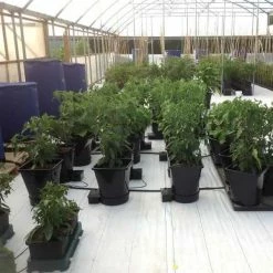 AutoPot Planting & Watering 1Pot XL System