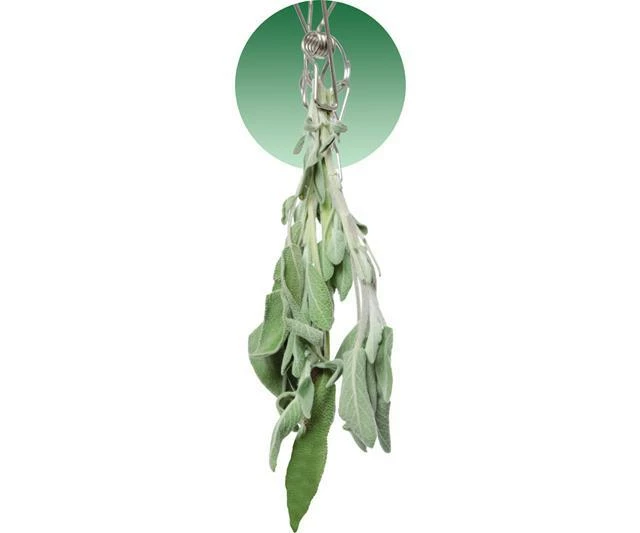 Best deal ⌛ Grow!T STACK!T Hanging Dry Rack W/28 Clips Harvest & Essentials 🎁 2 Grow!T STACK!T Hanging Dry Rack W/28 Clips Harvest & Essentials