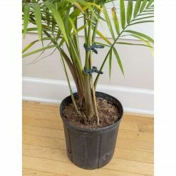 Top 10 👍 Planting & Watering Happy Hydro Spring-Loaded Plant Clips 🎉 10 Planting & Watering Happy Hydro Spring-Loaded Plant Clips