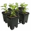 Active Aqua Grow Flow 2.0 Expansion Kit W/six 5 Gal Square Pots Planting & Watering