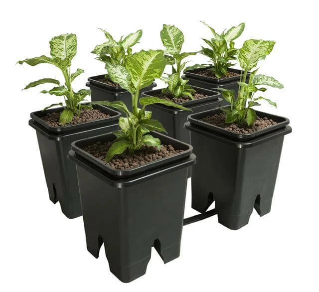 Flash Sale 🔥 Active Aqua Grow Flow 2.0 Expansion Kit W/six 5 Gal Square Pots Planting & Watering ⭐ 1 Active Aqua Grow Flow 2.0 Expansion Kit W/six 5 Gal Square Pots Planting & Watering