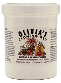 Top 10 🛒 Olivia's Solution Olivia's Cloning Gel, 4 Oz 😍 1 Olivia's Solution Olivia's Cloning Gel, 4 Oz
