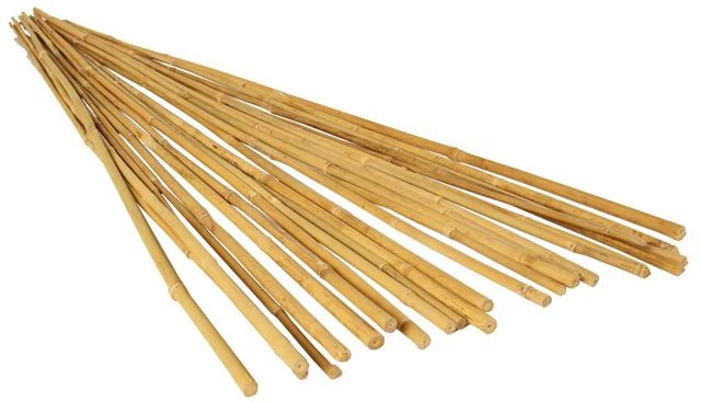 Promo ๐ฅ GROW!T 2' Bamboo Stakes, Pack Of 25 ๐งจ 1 GROW!T 2' Bamboo Stakes, Pack Of 25
