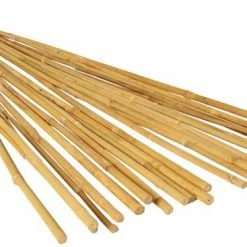 Planting & Watering GROW!T 3' Bamboo Stakes, Pack Of 25