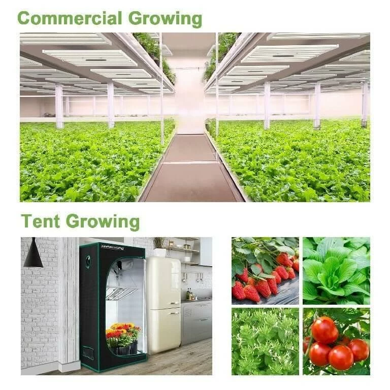 Brand new 🥰 Your Grow Room Mars Hydro | FC 3000 | 300W LED Grow Light 🎉 3 Your Grow Room Mars Hydro | FC 3000 | 300W LED Grow Light
