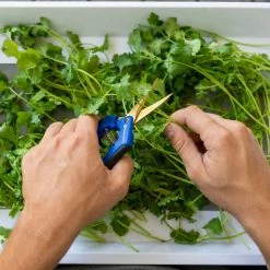 New 🌟 Harvest & Essentials Happy Hydro | 'Trim-Jail' Kit | Kief Collector | 4-Tier Drying Rack 💯 5 Harvest & Essentials Happy Hydro | 'Trim-Jail' Kit | Kief Collector | 4-Tier Drying Rack