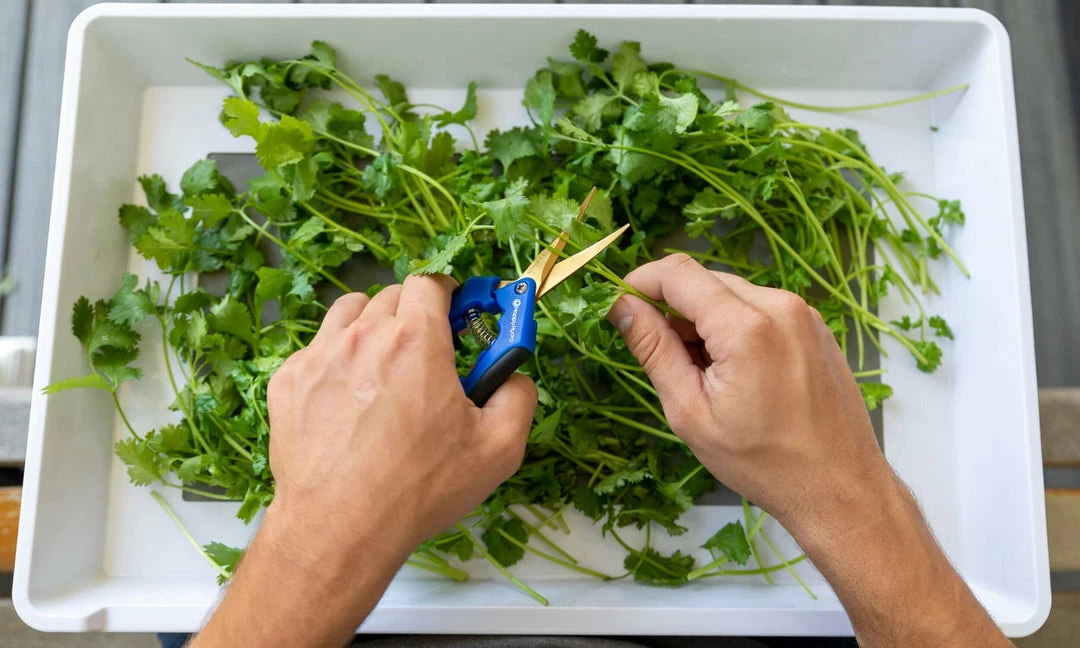 Cheapest โญ Happy Hydro | 'Trim-Jail' Kit | Kief Collector | 6-Tier Drying Rack ๐งจ 4 Happy Hydro | 'Trim-Jail' Kit | Kief Collector | 6-Tier Drying Rack