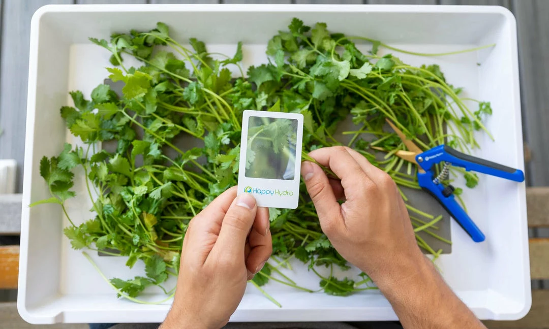 Flash Sale 🌟 Happy Hydro Kief Collector Laptop Trimming Tray Harvest & Essentials 🎉 2 Happy Hydro Kief Collector Laptop Trimming Tray Harvest & Essentials