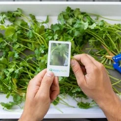 Top 10 ❤️ Harvest & Essentials Happy Hydro | Trimming Kit | Kief Collector | Trimming Scissors 🧨 9 Harvest & Essentials Happy Hydro | Trimming Kit | Kief Collector | Trimming Scissors