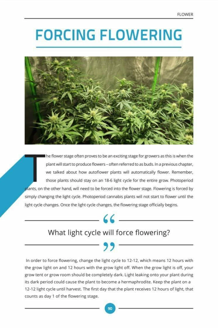 Budget 😍 Happy Hydro Beginner Complete Grow Tent Kit | 2x Electric Sky ES-300 LED | 4’ X 4’ Grow Tent Kits 😍 11 Happy Hydro Beginner Complete Grow Tent Kit | 2x Electric Sky ES-300 LED | 4’ X 4’ Grow Tent Kits