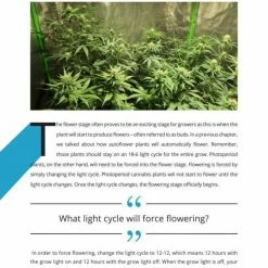 Hot Sale 😉 Happy Hydro Beginner Complete Grow Tent Kit | HLG 650R | 5’ X 5’ Grow Tent Kits 🔥 25 Happy Hydro Beginner Complete Grow Tent Kit | HLG 650R | 5’ X 5’ Grow Tent Kits