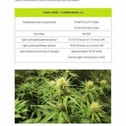 Flash Sale โ 7 Steps To Grow: A Complete Beginner's Guide To Growing Indoors By Mr. Grow It ๐ 13 7 Steps To Grow: A Complete Beginner's Guide To Growing Indoors By Mr. Grow It