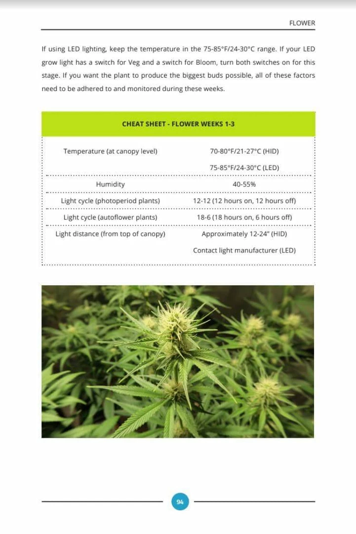 Flash Sale โ 7 Steps To Grow: A Complete Beginner's Guide To Growing Indoors By Mr. Grow It ๐ 6 7 Steps To Grow: A Complete Beginner's Guide To Growing Indoors By Mr. Grow It
