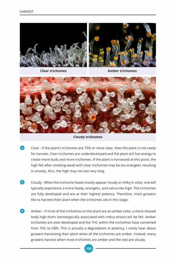 Flash Sale โ 7 Steps To Grow: A Complete Beginner's Guide To Growing Indoors By Mr. Grow It ๐ 7 7 Steps To Grow: A Complete Beginner's Guide To Growing Indoors By Mr. Grow It