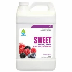 Planting & Watering Botanicare Sweet Berry Quart