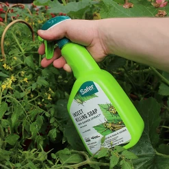 Outlet โญ Safer | Insect Killing Soap | 32 Oz Planting & Watering ๐ 5 Safer | Insect Killing Soap | 32 Oz Planting & Watering