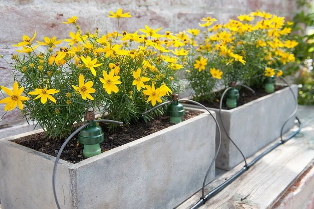 New 😉 Blumat Planting & Watering Potted Plant Watering Set For A 1 To 3 Gallon Pot 🛒 3 Blumat Planting & Watering Potted Plant Watering Set For A 1 To 3 Gallon Pot