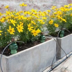 Cheap 👏 5" Tropf Blumat Watering Carrot Planting & Watering 🛒 9 5